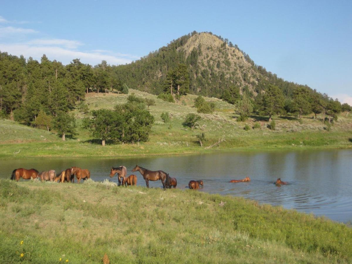 Вилла Lake Guest Ranch Devils Tower Экстерьер фото