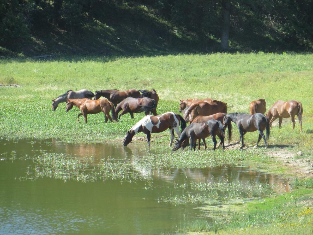 Вилла Lake Guest Ranch Devils Tower Экстерьер фото